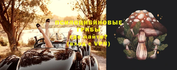 МДПВ Абдулино
