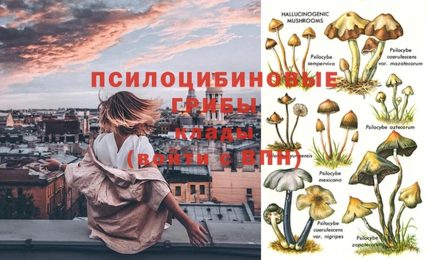 МДПВ Абдулино