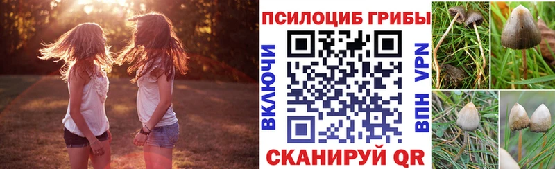 как найти закладки  Тюкалинск  MEGA ссылка  Галлюциногенные грибы Psilocybe 